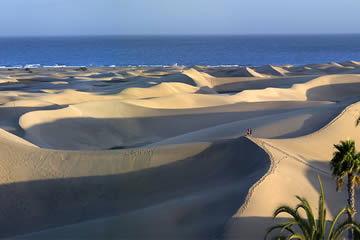 booking las palmas maspalomas